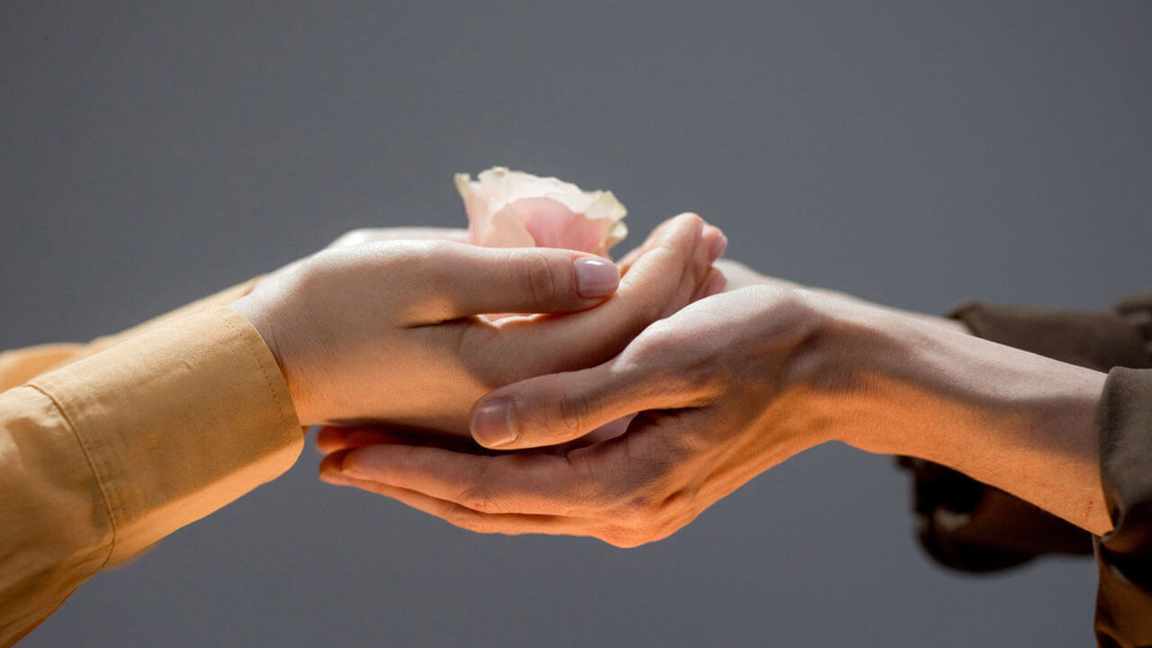 Close up of two hands cupping a delicate pink flower against a dark background.